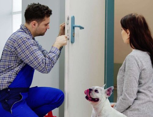 7 Tips to Protect Your Pets by a Locksmith in Crawley